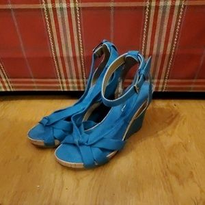 Teal aerosols wedges